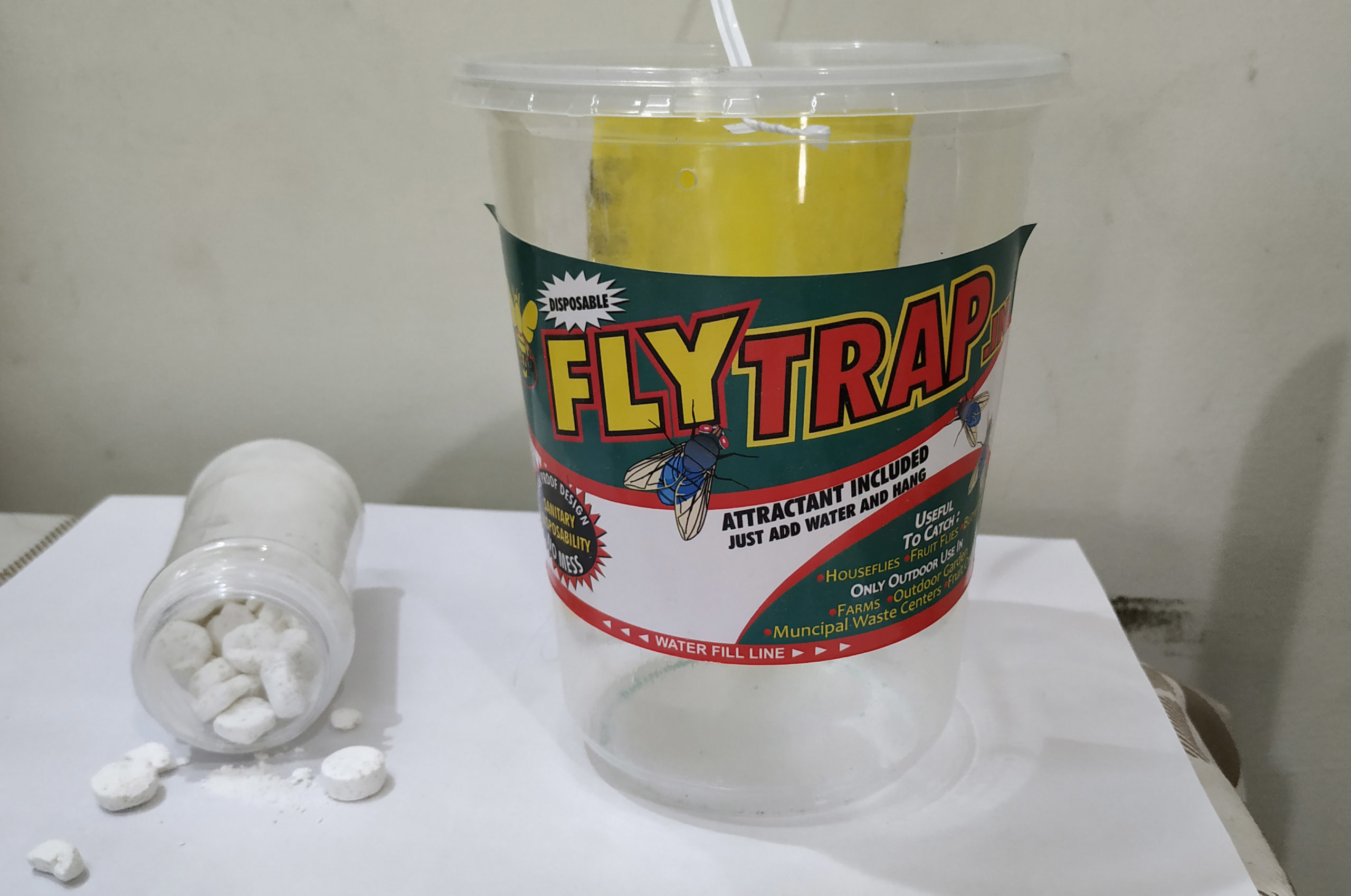 disposable fly trap large container 01 FlyTrap