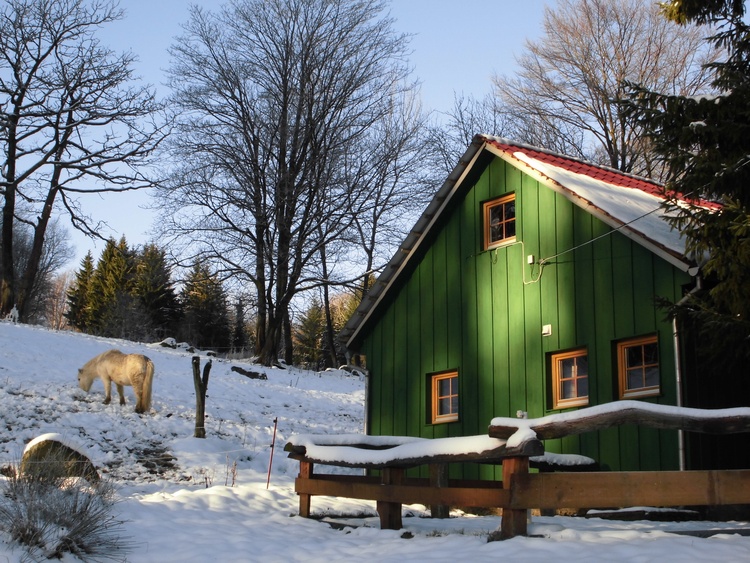 Ferienhaus BrotterodeTrusetal, Thüringen Ferienhaus Berghütte