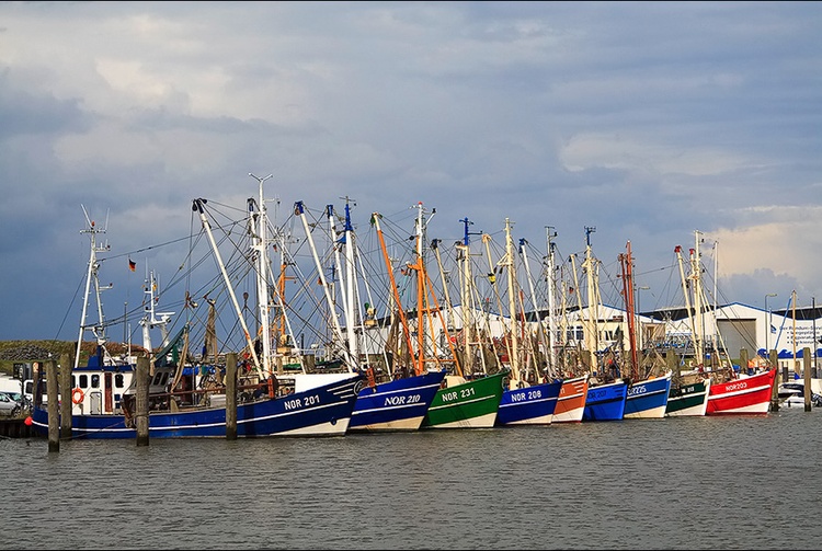 Ferienhaus Nordseebad Norddeich, Niedersachsen Ferienhaus am Hafen Ferienwohnung Ferienhäuser