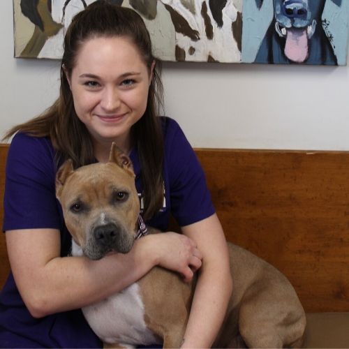 Veterinarians in Westwood, KS Dr. Ron Bachman FMA