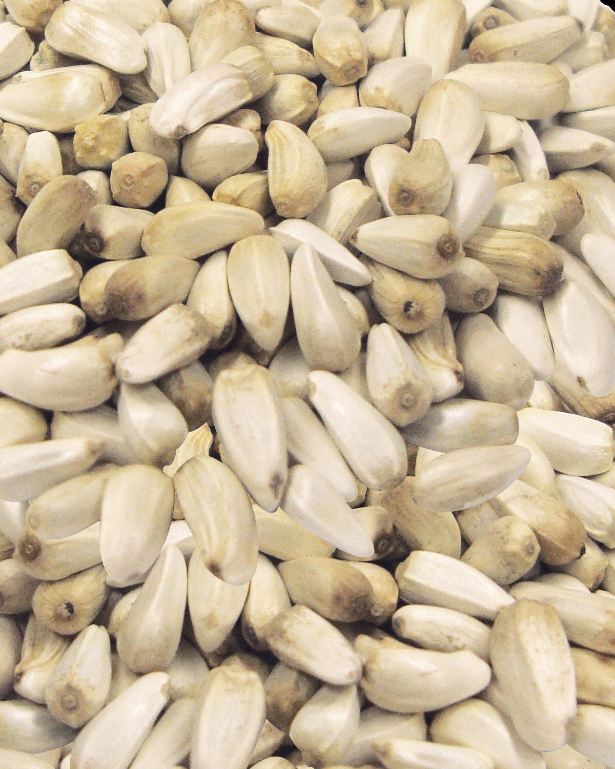 Safflower Seeds Brown's