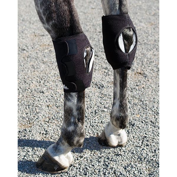 IceHorse® HOCK WRAPS FMBS Therapy Systems