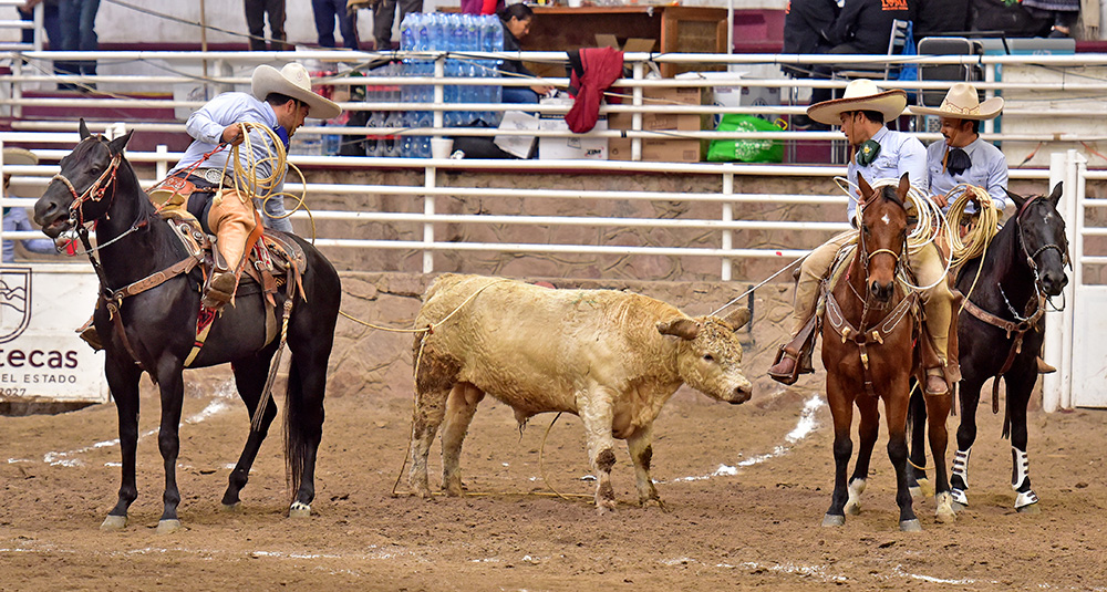 Rancho San Miguel y Hacienda de La Villa se quedaron en el paso de la