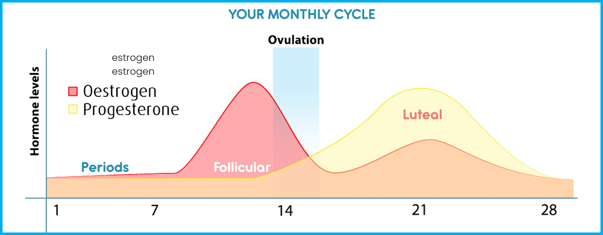 menstural-cycle-phase – Functional Medicine Diagnostics – Diagnostic