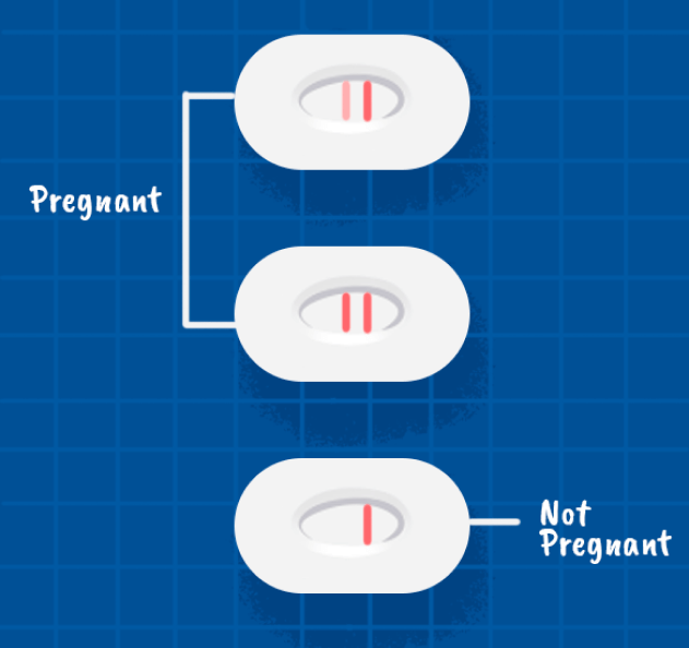 How to confirm if pregnant? Pregnancy test kit Find My Method