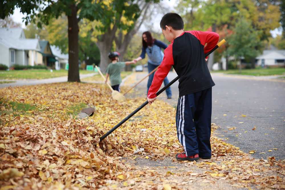 Everything you need to know about fall yard care Friends of the