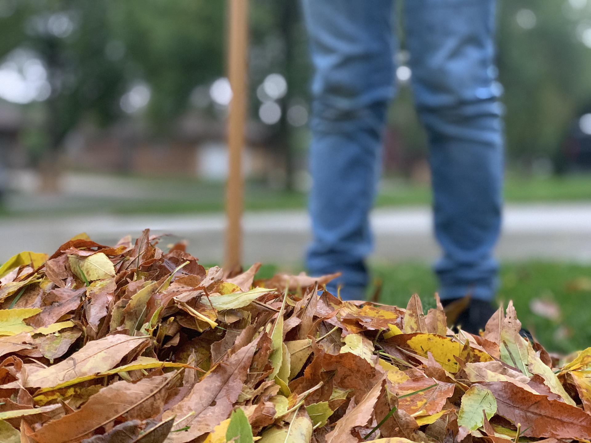 Fall yard cleanup 5 ways to help protect the river Friends of the