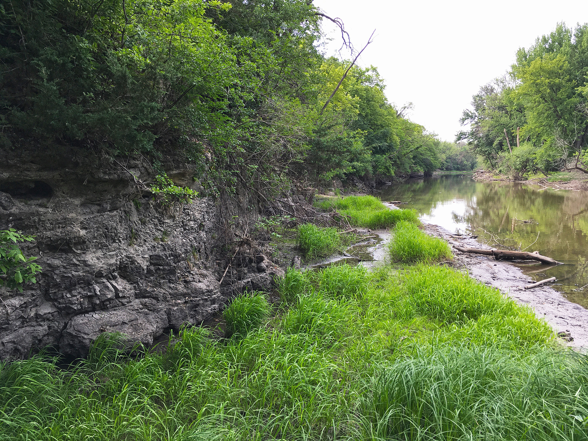 Riverside Park in St. Paul Park Friends of the Mississippi River