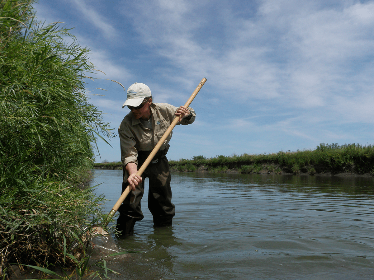 Water crisis in Des Moines Why does a river city need wells? Friends