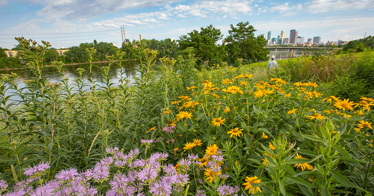 Metro communities begin adopting new river protections Friends of the