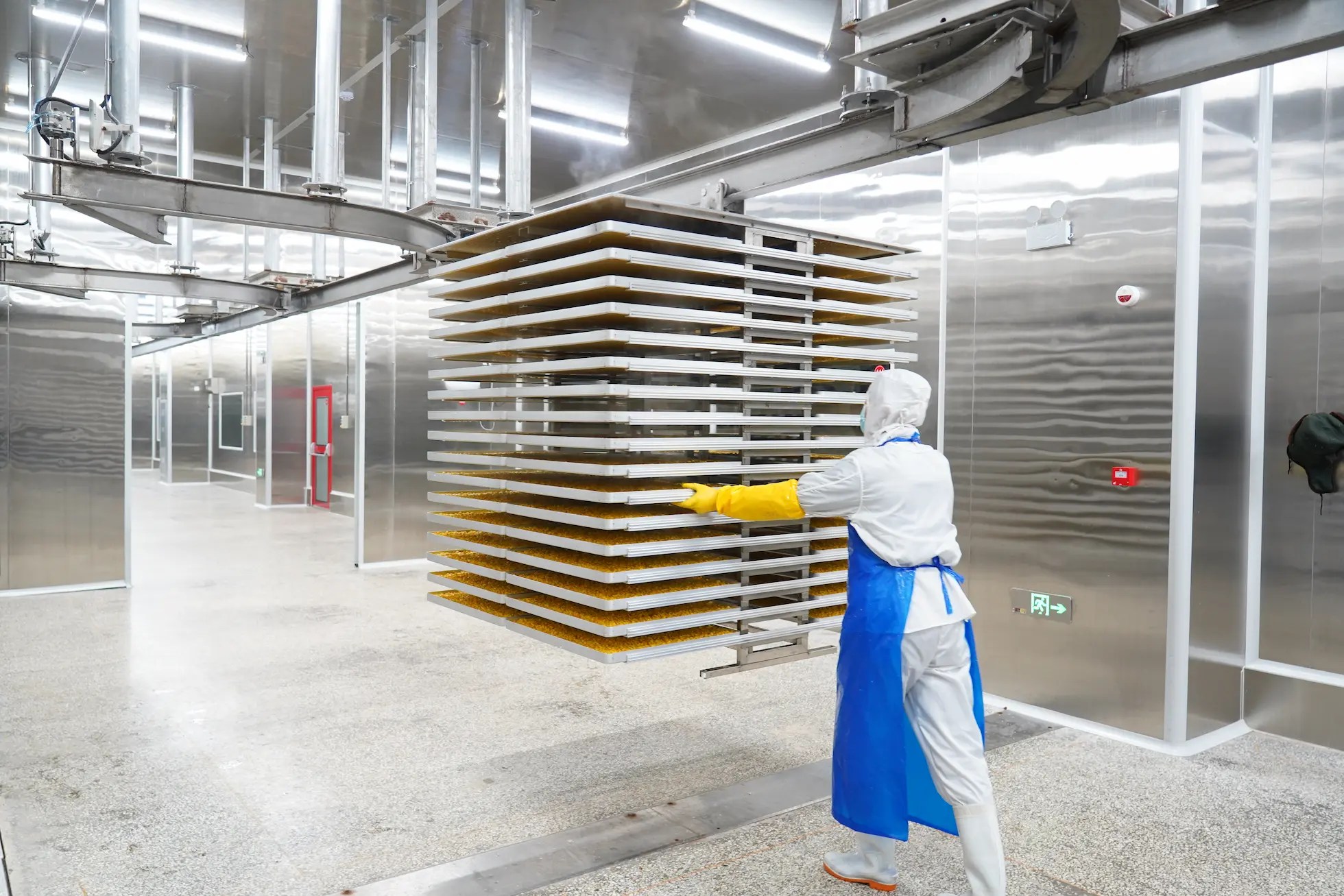 Freeze dried fruit manufacturer