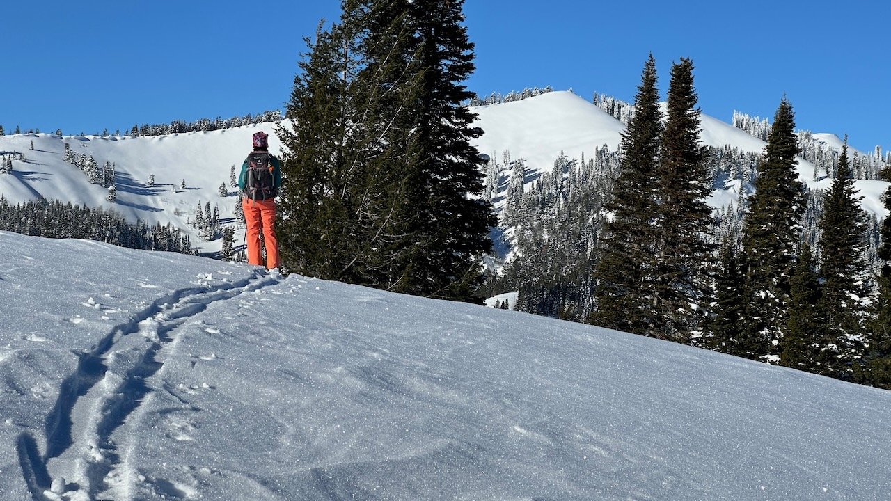 Backcountry Powder Skiing 2022 2023