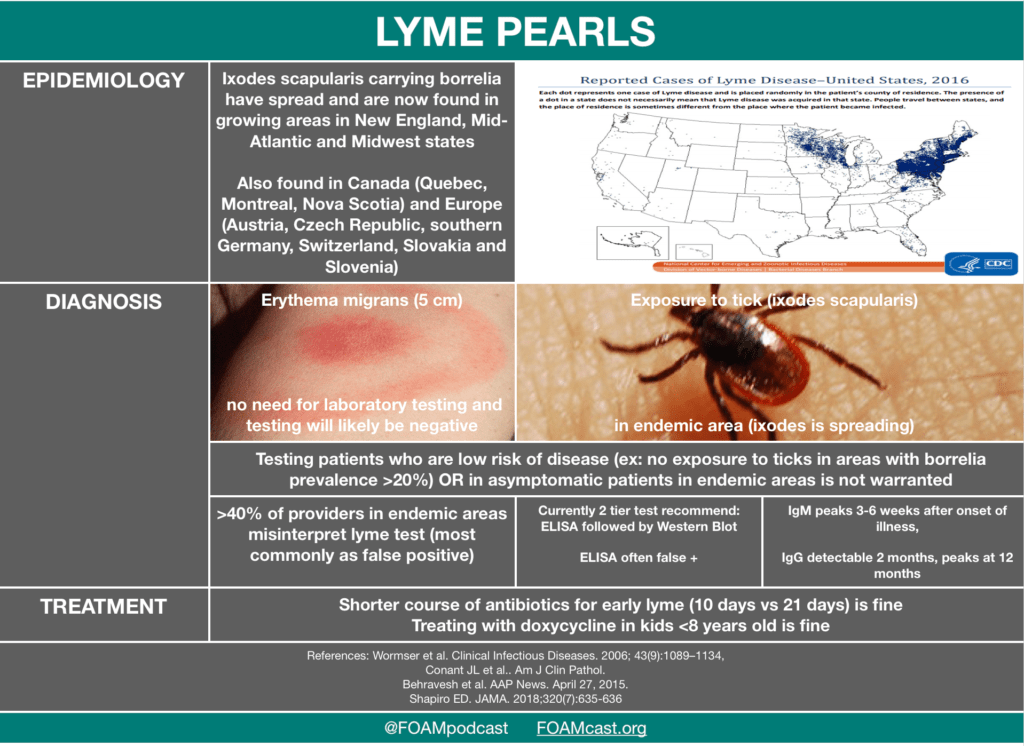 Lyme Disease (Borreliosis) FOAMcast