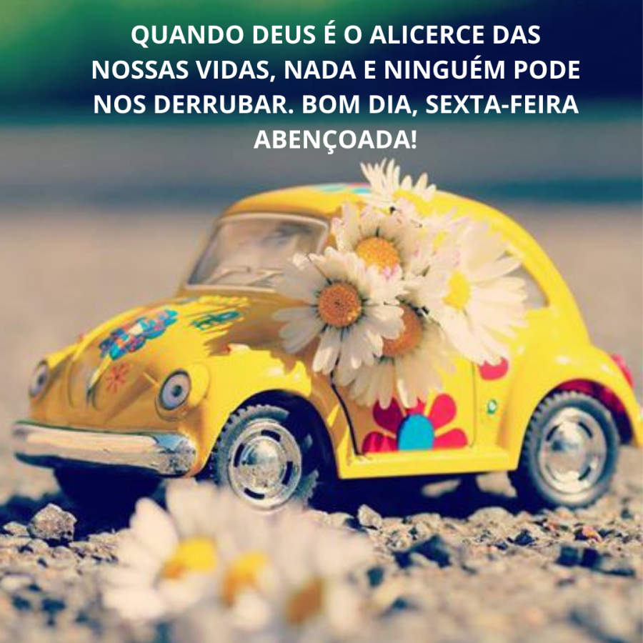 "Sextou": frases e imagens de Bom dia sexta feira | Focalizando