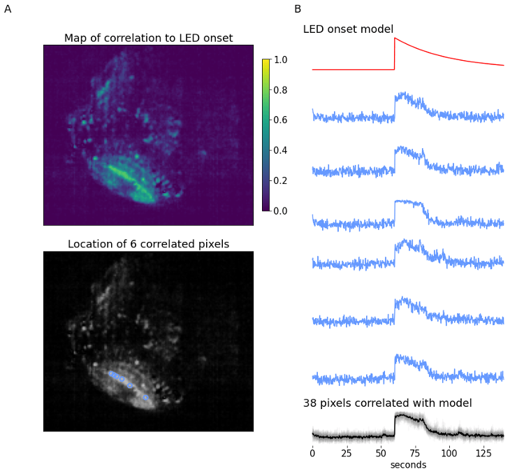 First steps for presentation and analysis of calcium imaging data FocalPlane