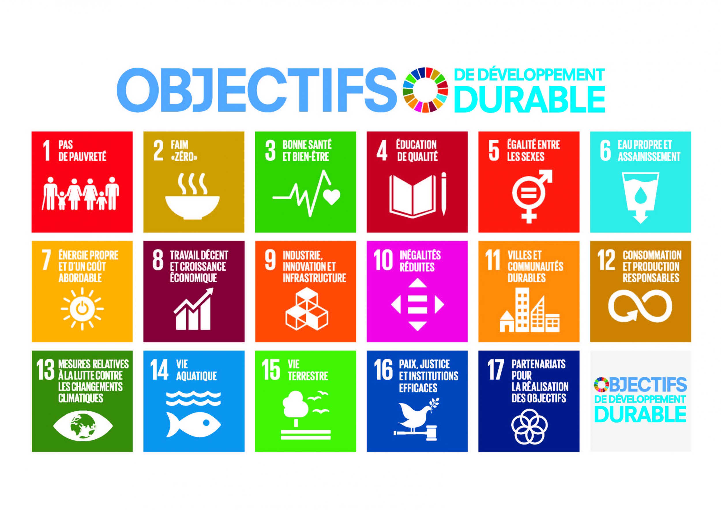 Focus 2030 and the Sustainable Development Goals at the heart of our work