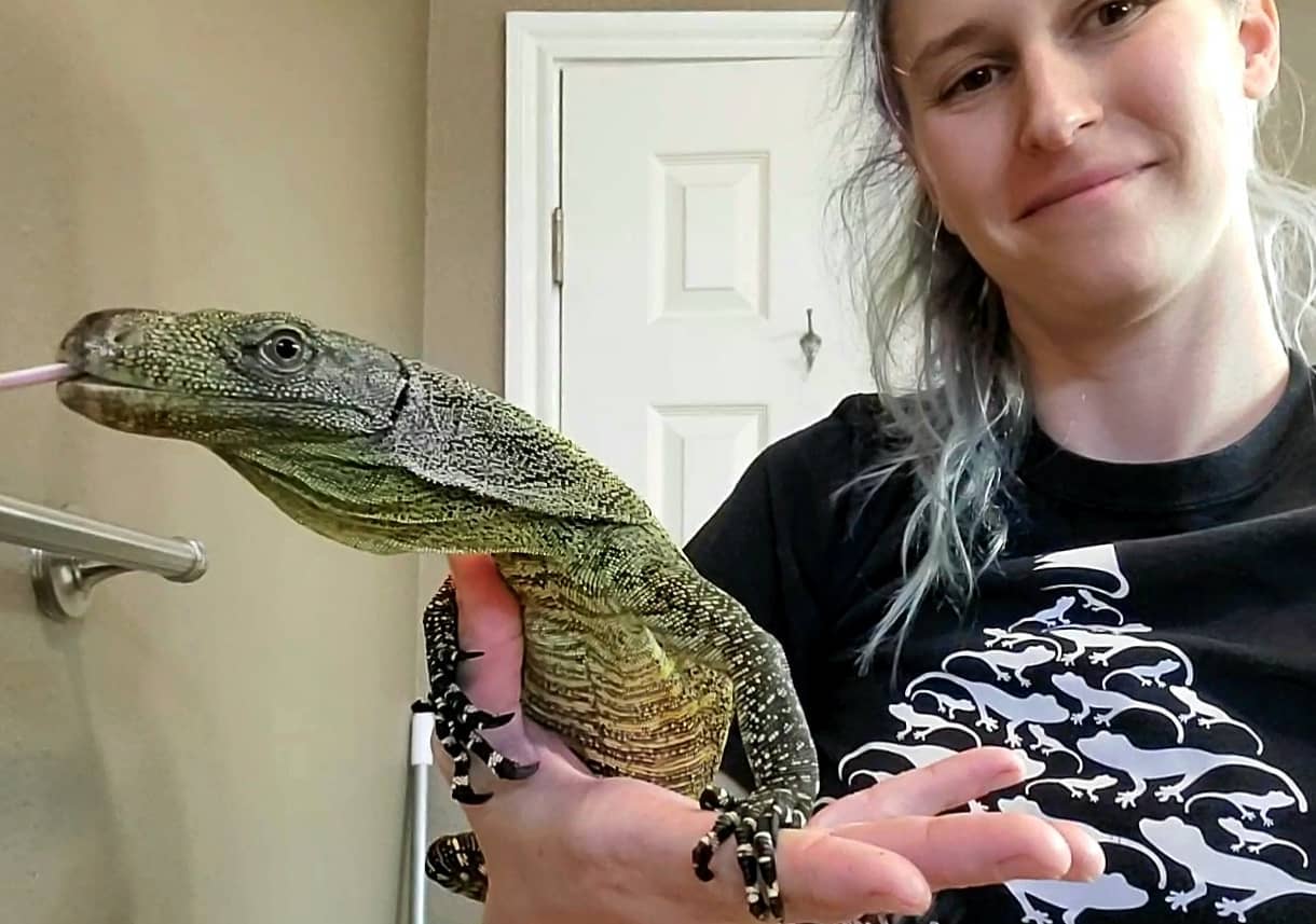Crocodile Monitor Pet