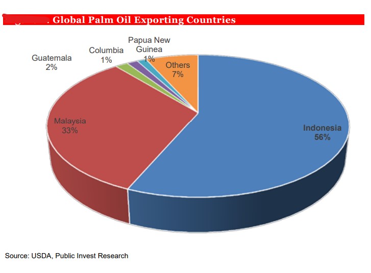 Indonesia’s palm oil export ban unlikely to achieve its intended