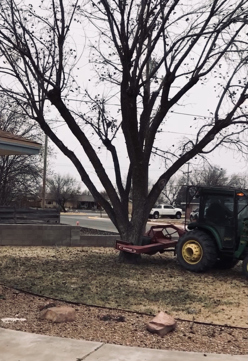 Pecan Harvesting & Shelling Focus NM Daily