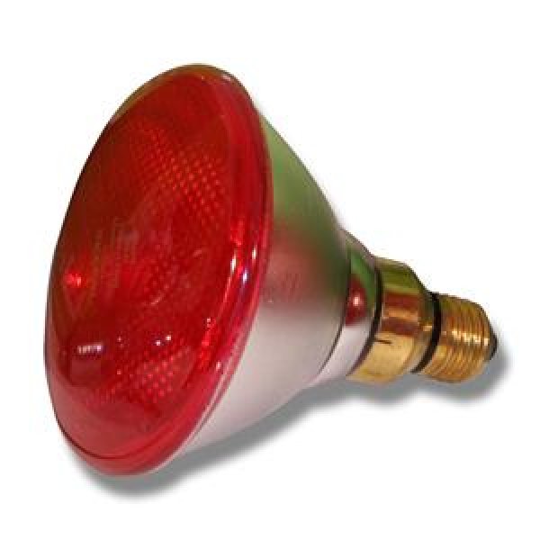 Odlingslampa Lågenergi Philips Värmelampa lågenergi, röd 150W