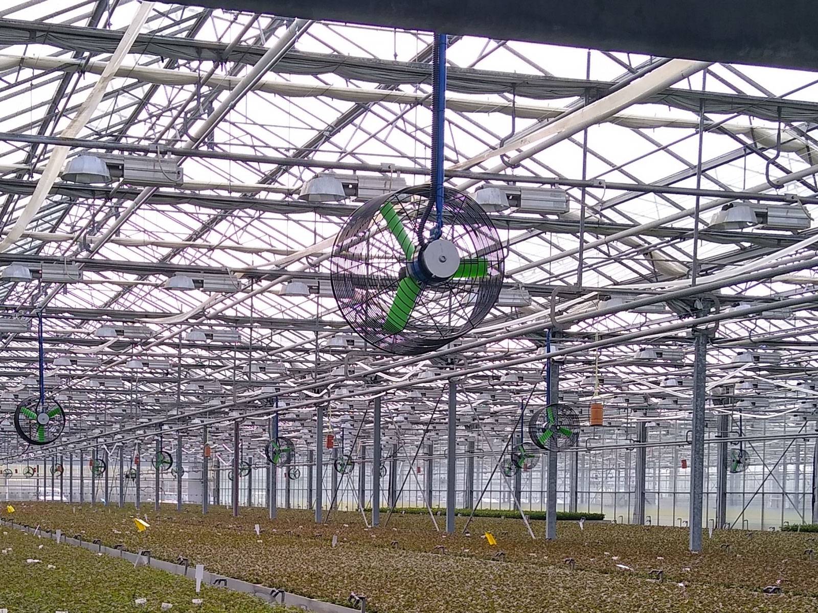 Cooling Greenhouses with SolarPowered Fans