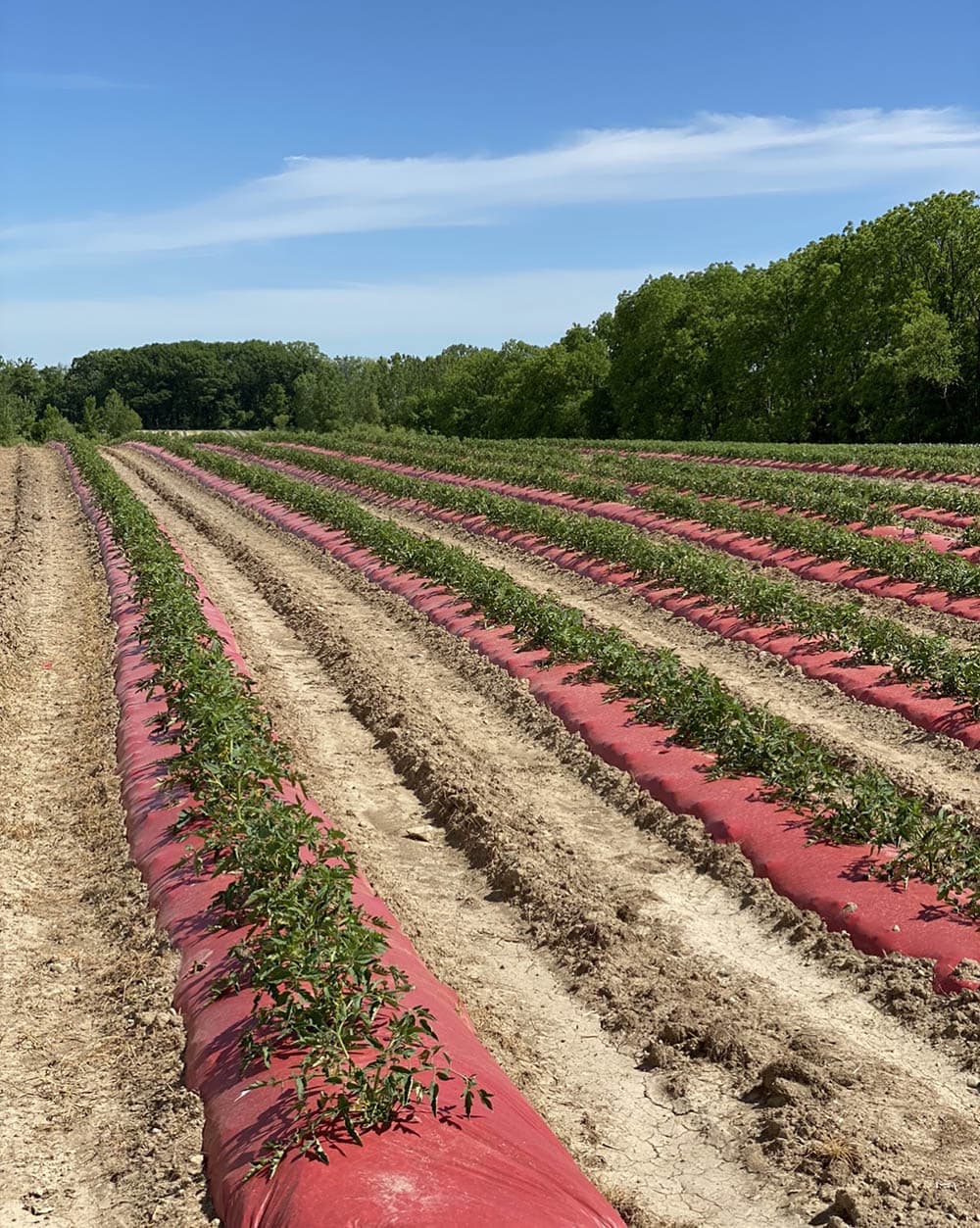 Our Farm Fogler's Greenhouse & Farm Market Rochester, MI
