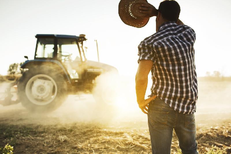 Foglie Tv | Forte Aumento Dei Prezzi Dei Fertilizzanti E Delle Materie Prime Vs Crollo Dei Prezzi Di Vendita Dei Prodotti Agricoli… Cosa Succederà All'agricoltura? 533_x_800_jpg