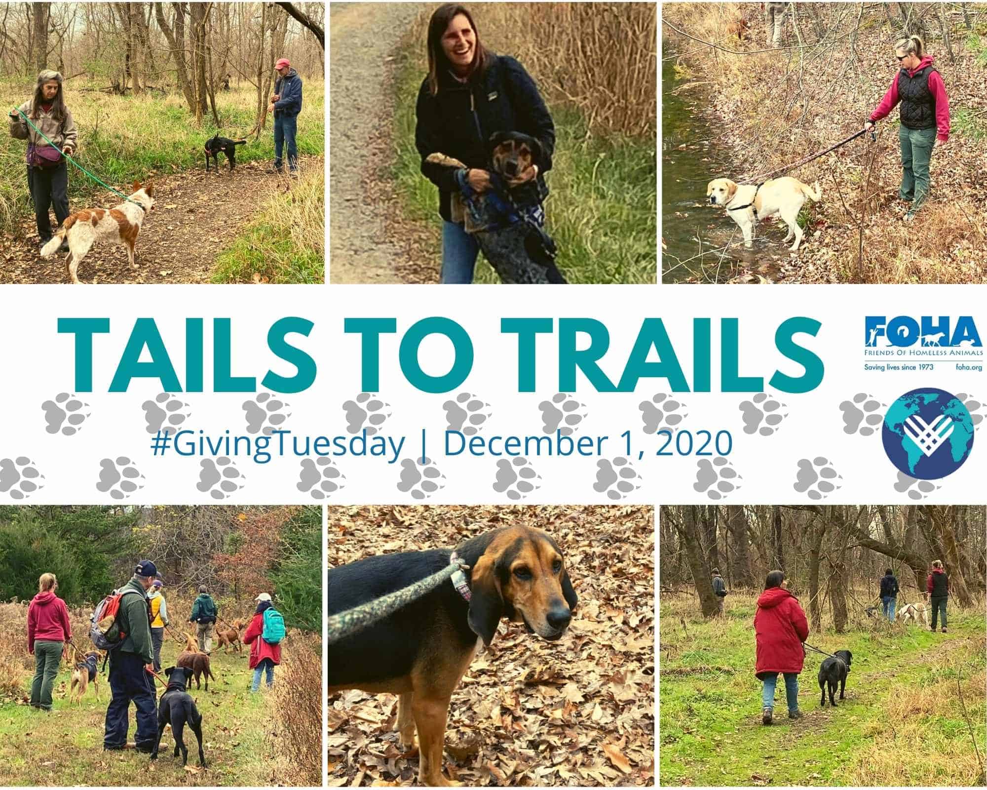 Tails to Trails, Part 2 Friends of Homeless Animals