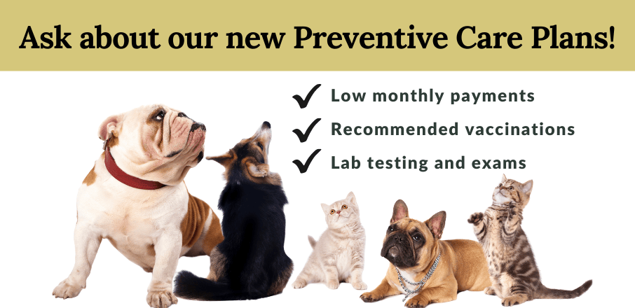 Veterinarian in Clio, MI 48420 Fohey Veterinary Hospital