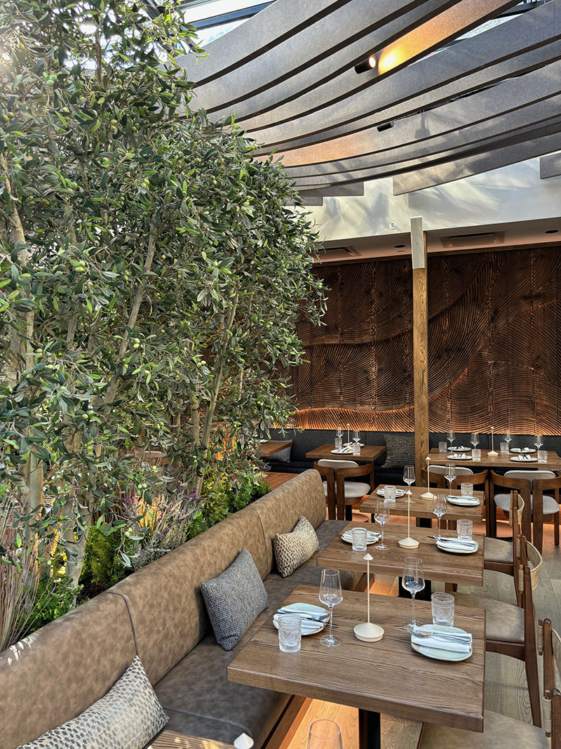 Karray Elevates the Dining Experience at Meduza Mediterrania in NYC