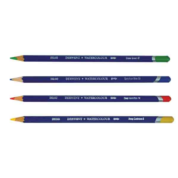 Derwent Watercolor Pencil Set 12 Pencils The Foiled Fox
