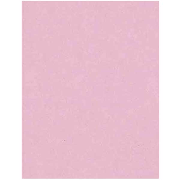 Cotton Candy Heavy Cardstock 10 sheets The Foiled Fox