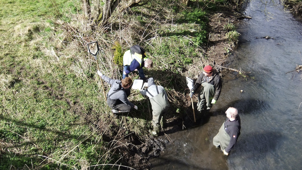Friends of Lyme Brook Lyme Valley NewcastleunderLyme