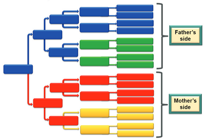 Organize your genealogy files with Folder Marker