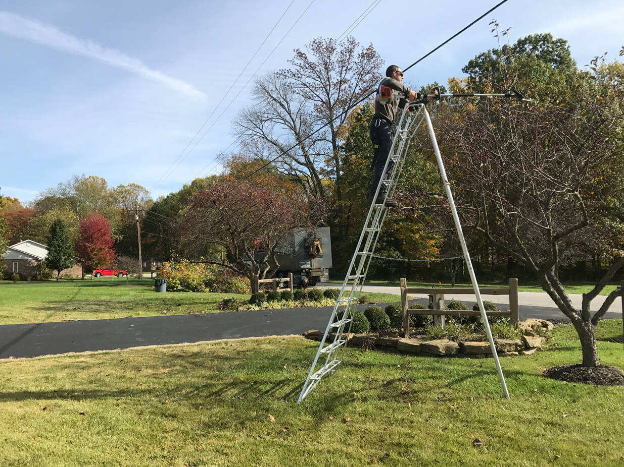 Tree Trimming Foley Tree LLC