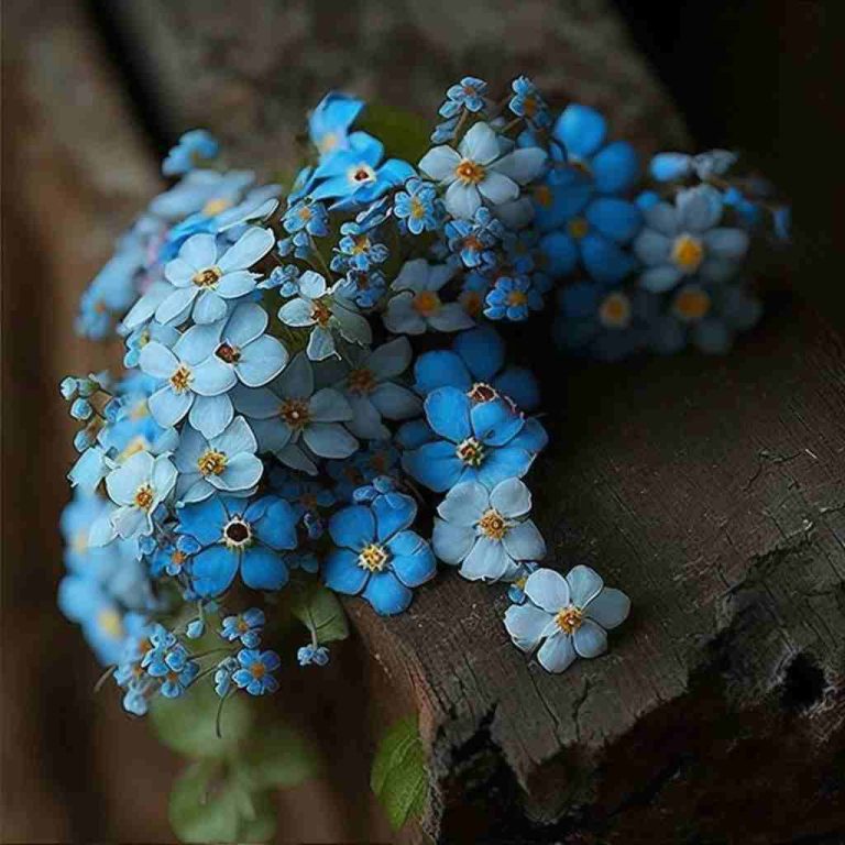 10 Flowers That Represent Being Sorry A Heartfelt Apology Foliage Friend Learn About