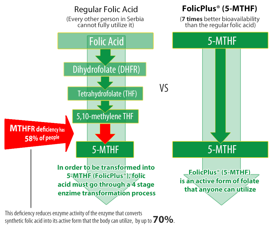 FolicPlus graphic Folicplus+