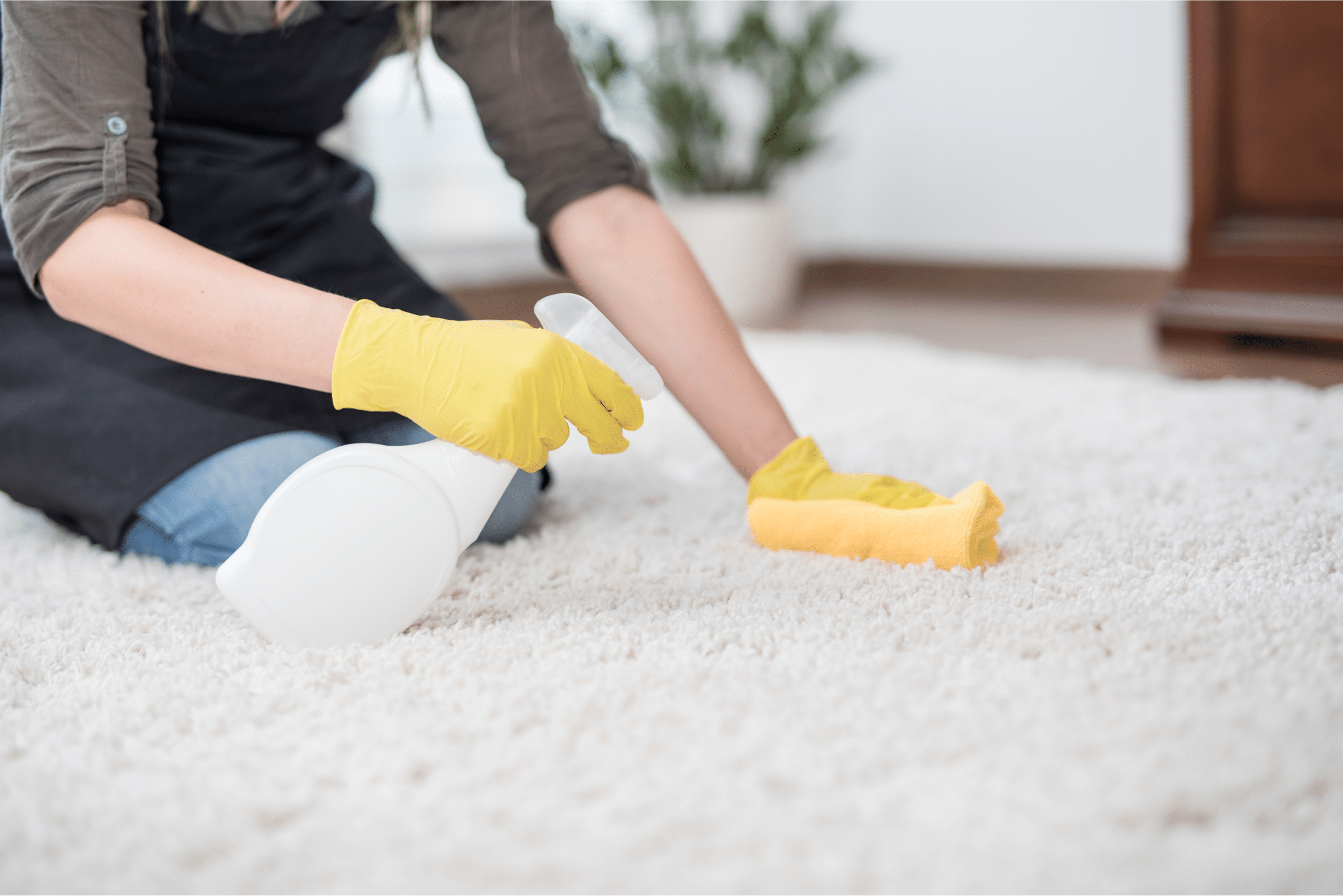 Carpet, Upholstery & Furniture cleaning Folkestone Kent