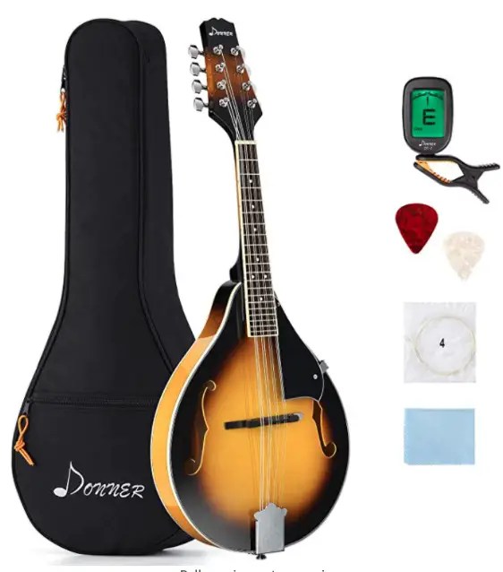 Top 10 Best Mandolins for Beginners Buyer's Guide (UPDATED