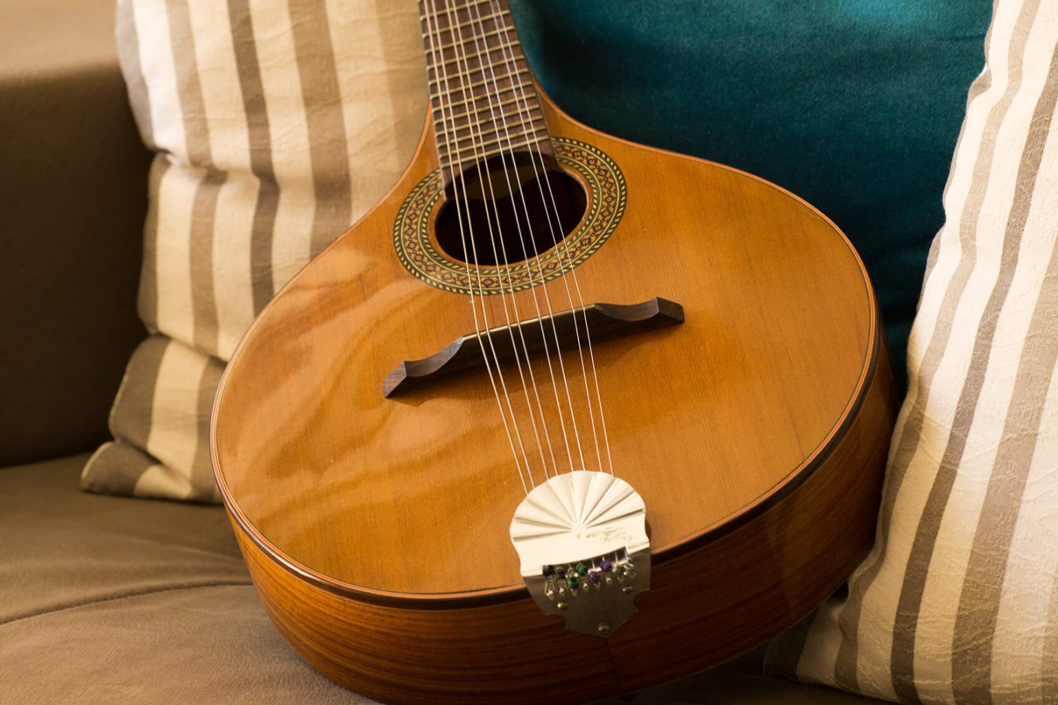Top 10 Best Mandolins for Beginners Buyer's Guide (UPDATED