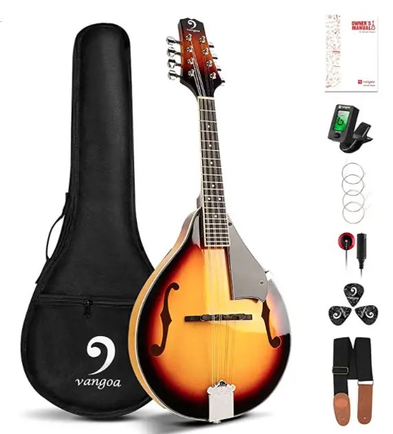 Top 10 Best Mandolins for Beginners Buyer's Guide (UPDATED