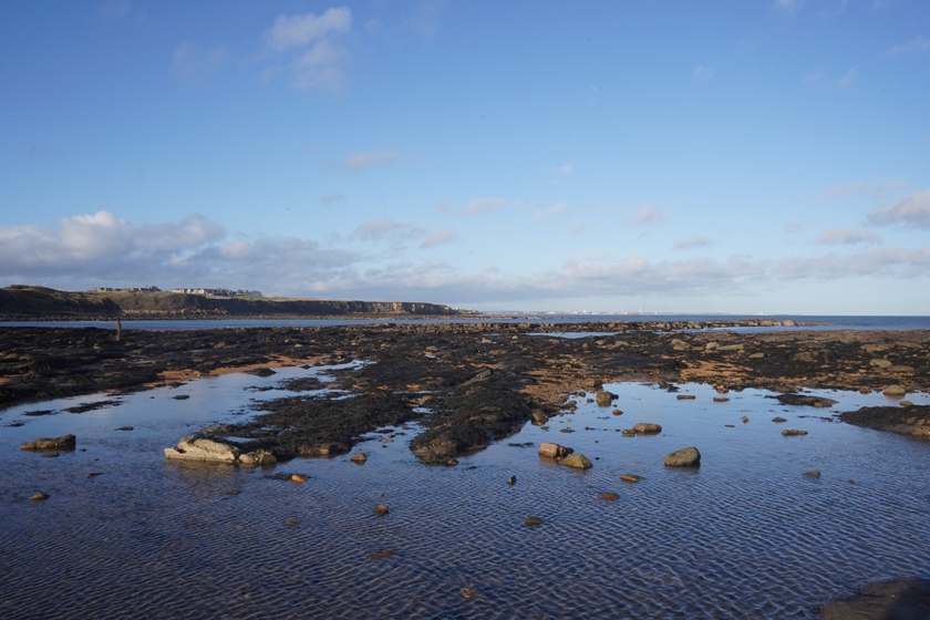 St. Mary Island [英國] ｜行山路線 ‧ 資訊