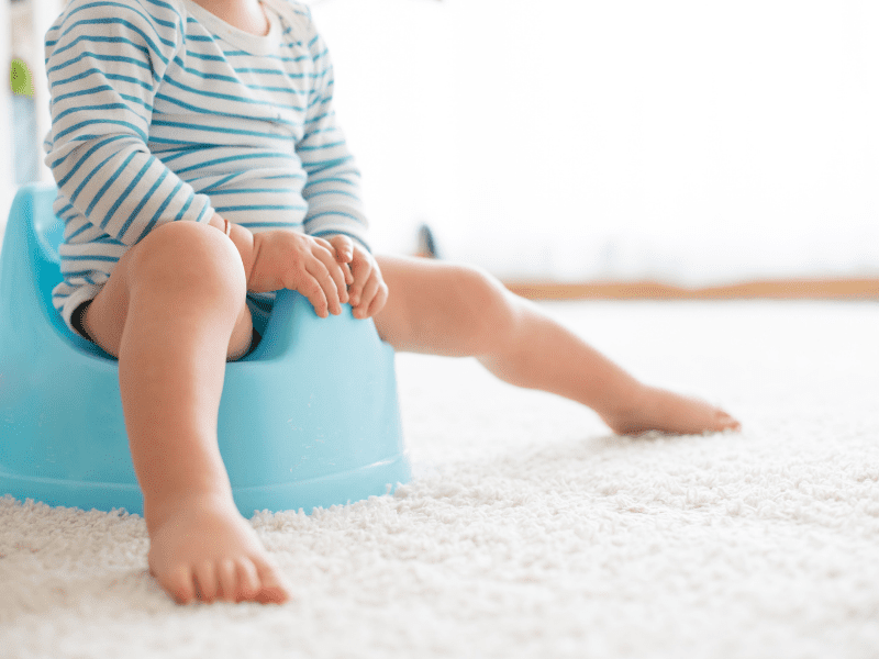 Potty Training Readiness What Age is Best for Potty Training?