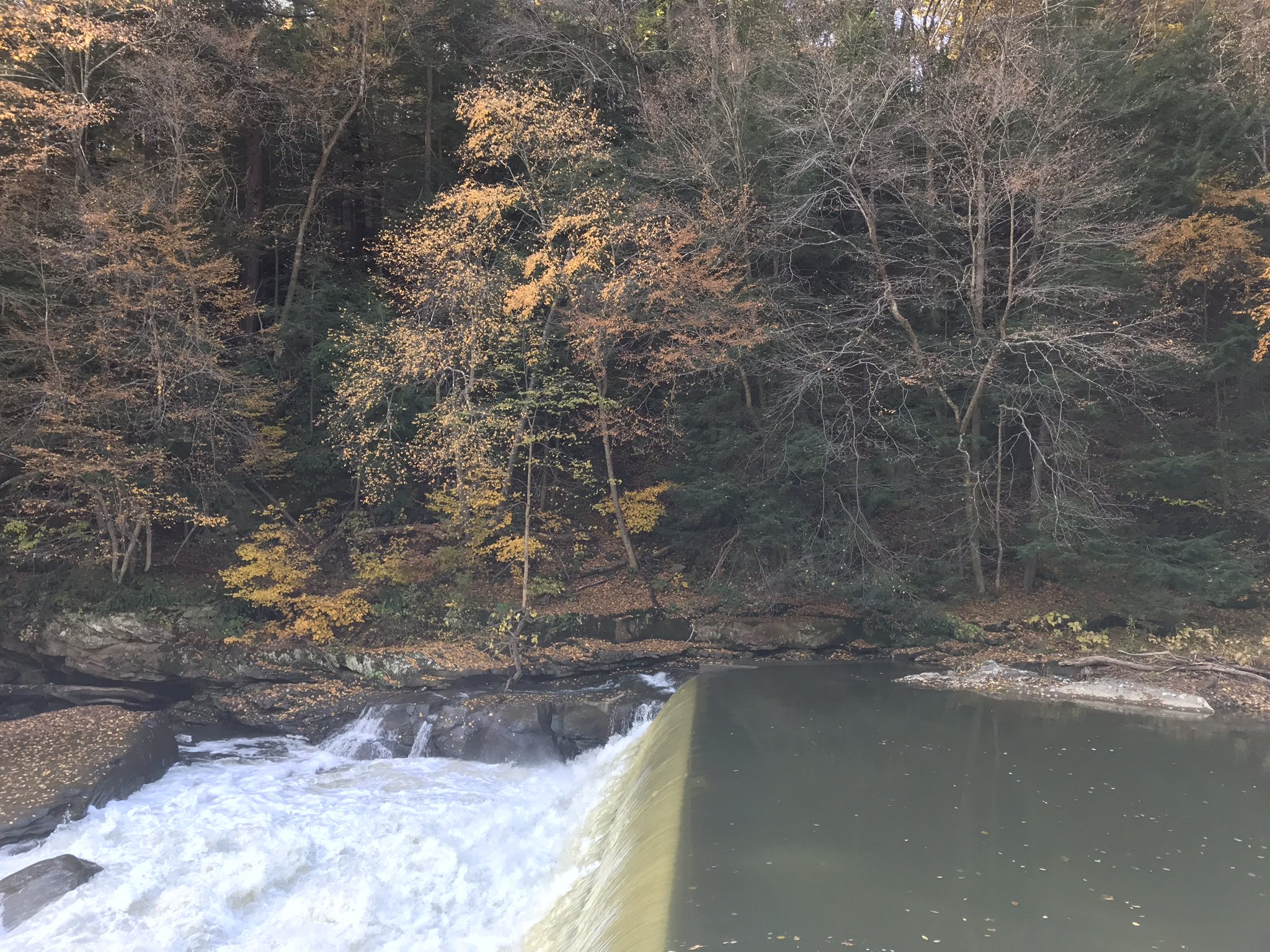 Where in the world is…. Slippery Rock, PA Follow My Hart...