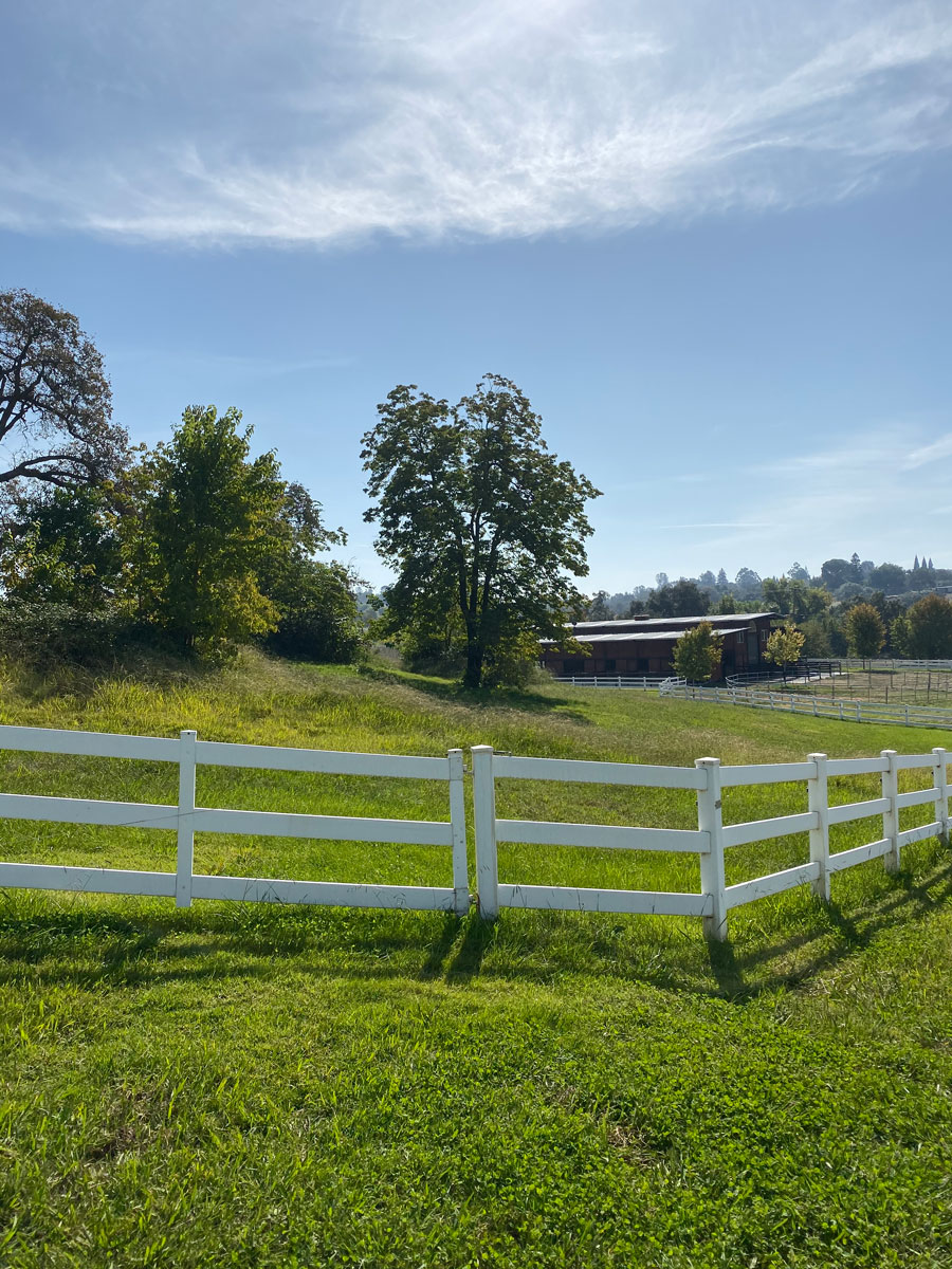 Folly Farms Auburn, CA Hunter/ Jumper Training, Lessons and Sales