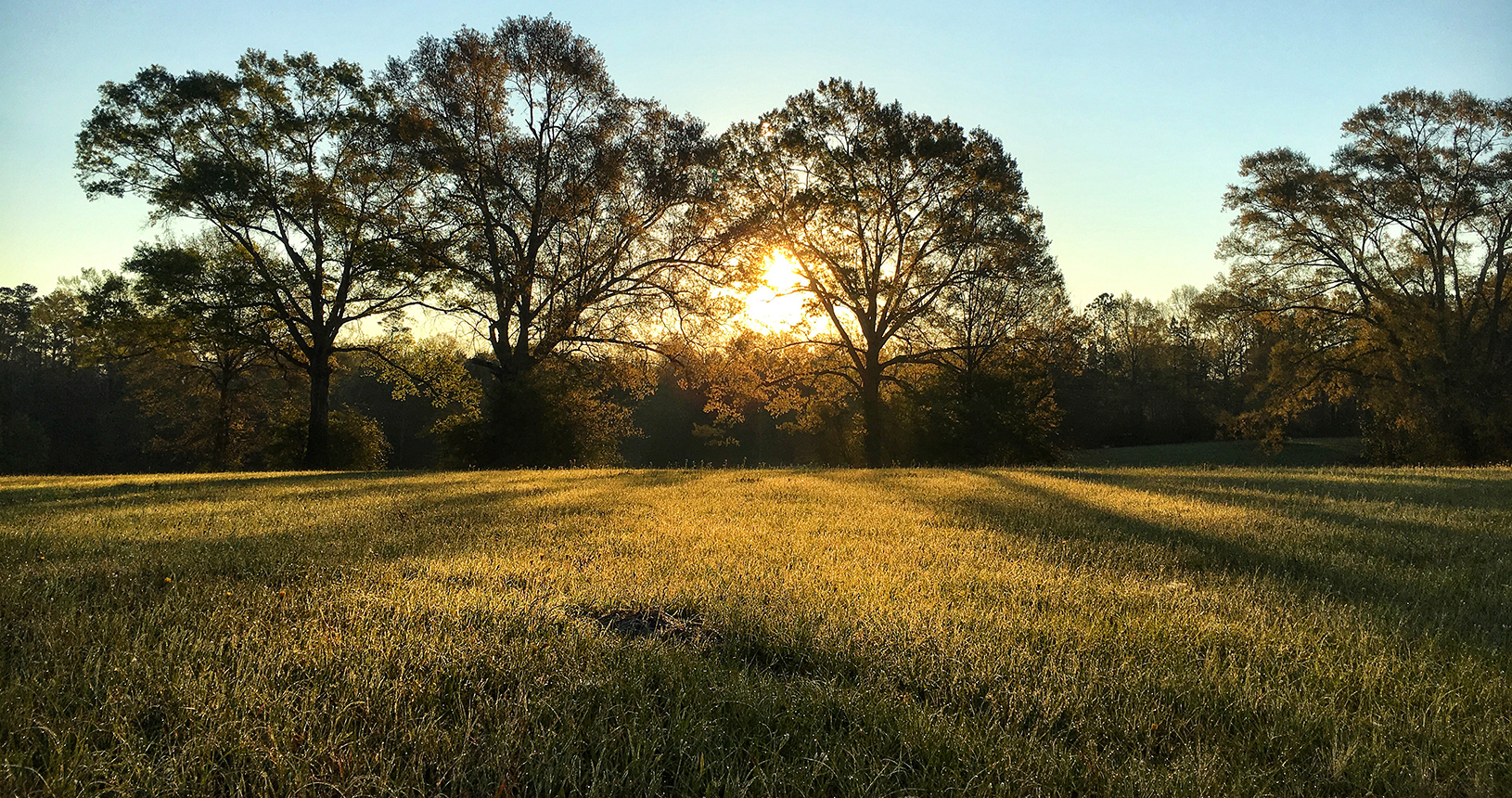 Folsom, Louisiana Support Folsom local business and industry