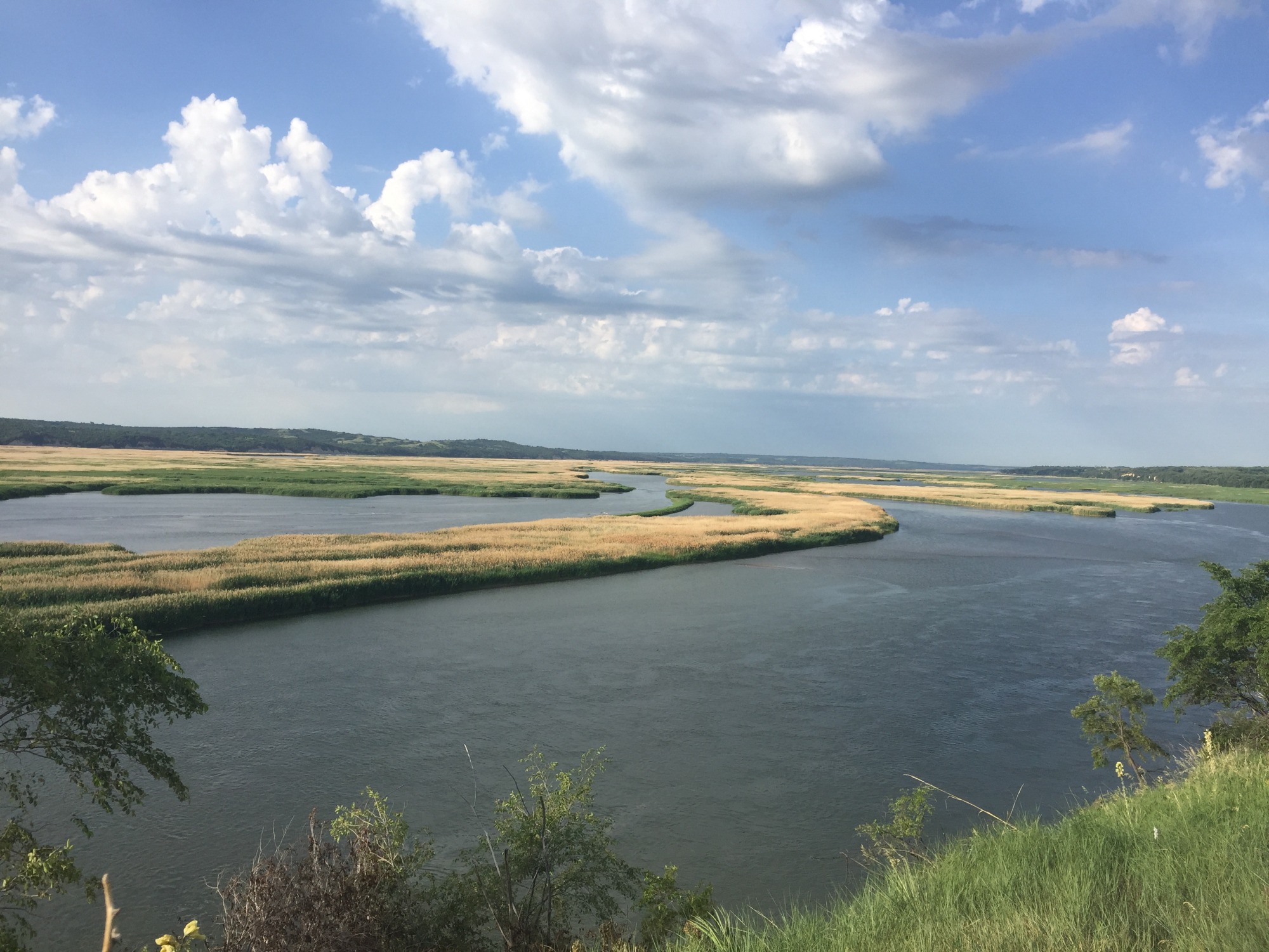 What is happening about the sedimentation in Lewis and Clark Lake