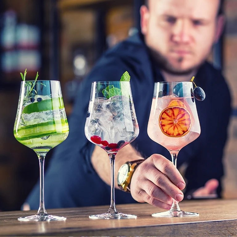 Tantalizing Gin Tastings in Cape Town FOMO