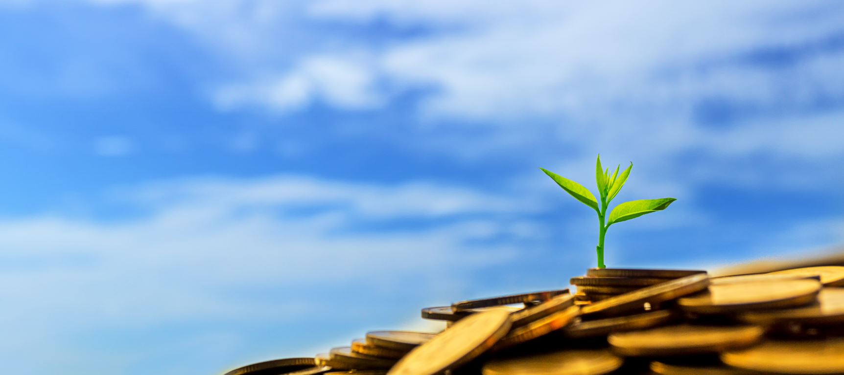 Vilka fonder är bäst för dig? Fondkollen