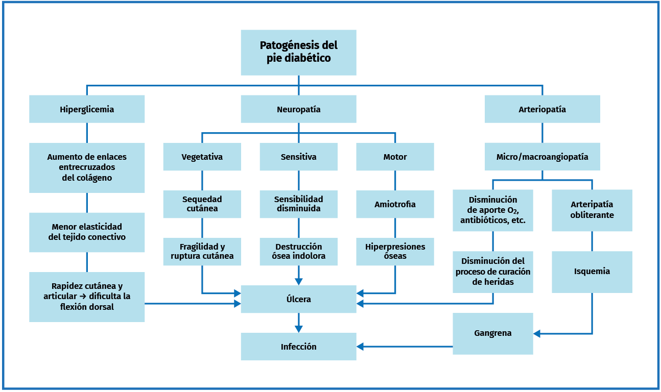 Infecciones en el pie diabético FONDOSCIENCE